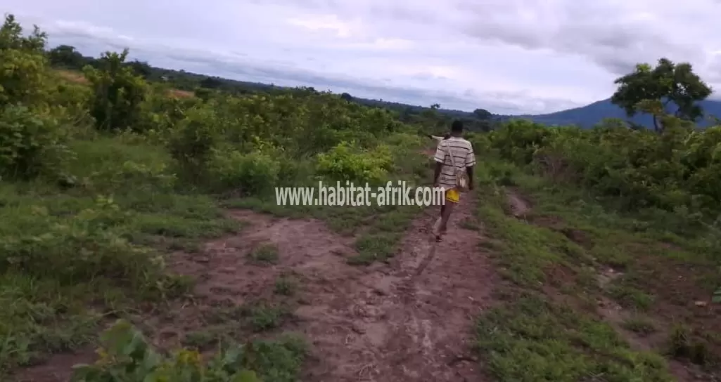 Je mets en vente des parcelles de terrain agricoles au bord du fleuve zion a 2km du marché de kati kpalime togo