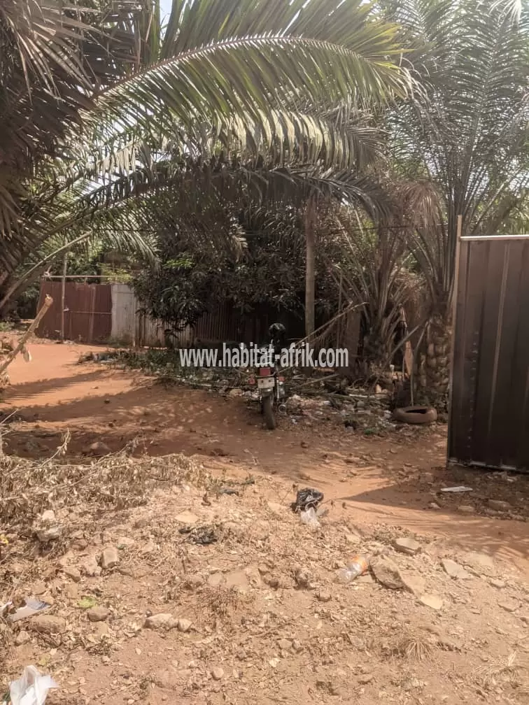 Je mets en vente une parcelle de terrain quatre (04) lot collé à agoe 2 lions 400m du goudron lome togo
