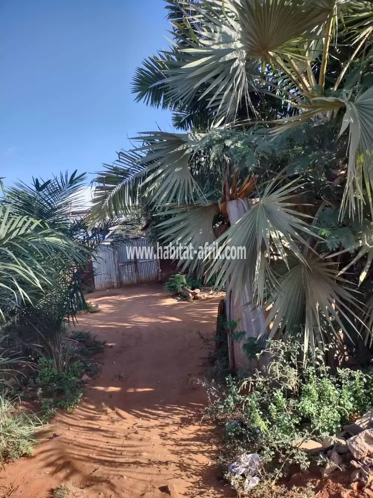 Je mets en vente une parcelle de terrain deux (02) lots collé clôturé a agoe 2lions lome togo