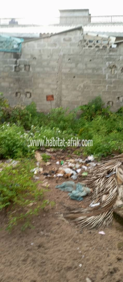 A VENDRE DANS TOGBIN FANDJI UNE PARCELLE EN ANGLE DE RUE