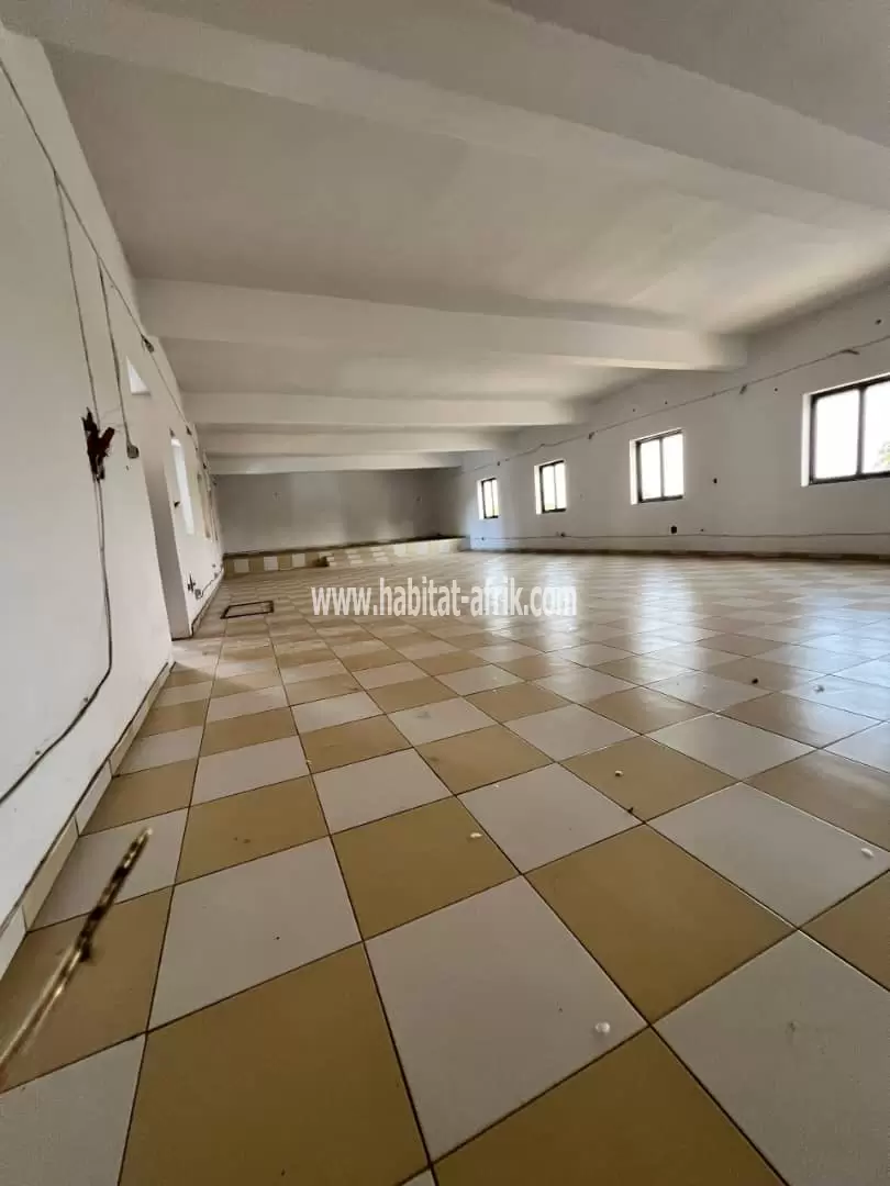 Je mets en location un immeuble comportant des bureaux et de grandes hall garage 15 voitures a djidjolé lome togo