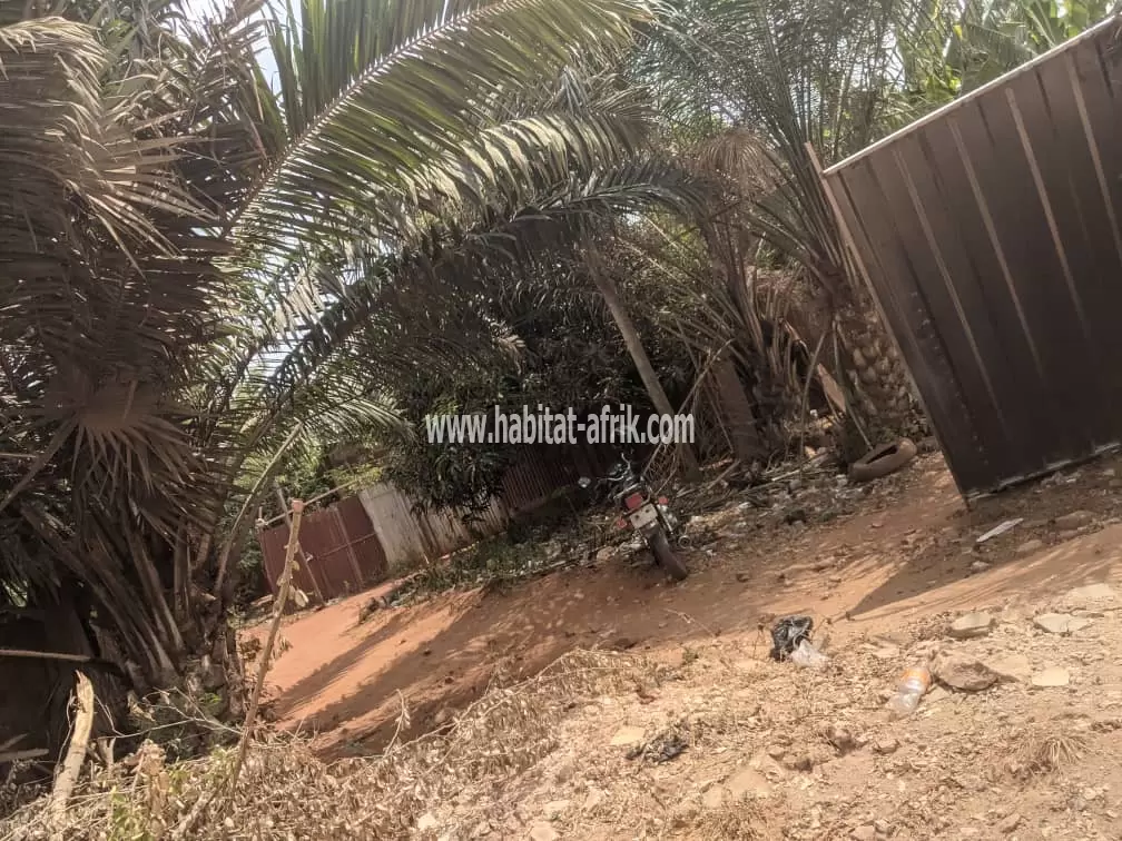 Je mets en vente une parcelle de terrain quatre (04) lot collé à agoe 2 lions 400m du goudron lome togo