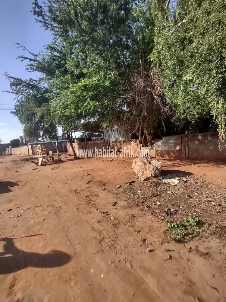 Je mets en vente une parcelle de terrain deux (02) lots collé clôturé a agoe 2lions lome togo