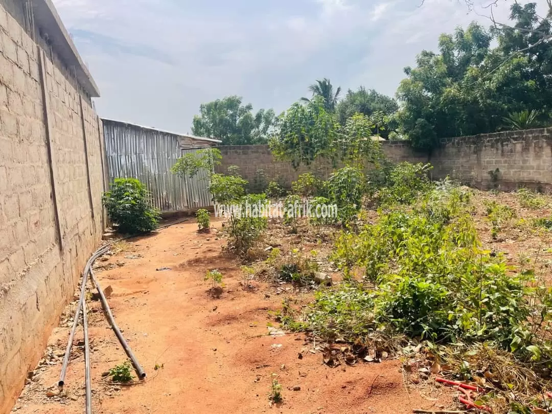Je mets en vente une parcelle de terrain demi lot carré à 500m du goudron kleme antenne moov rasta lome togo