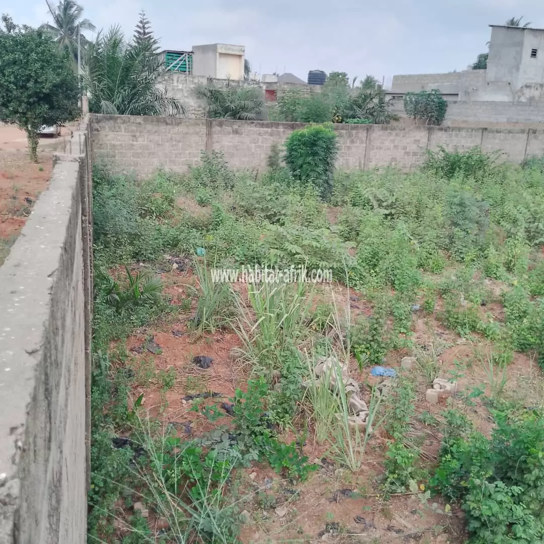 A VENDRE 2 LOTS 3/4 À ADIDOGOMÉ - ATIGANGOMÉ (parcelle bien positionné)