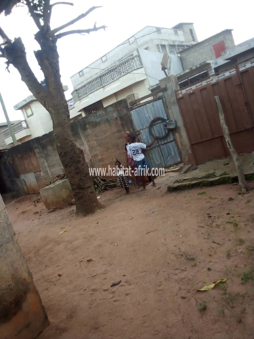 maison a vendre a porto Novo très bien situé