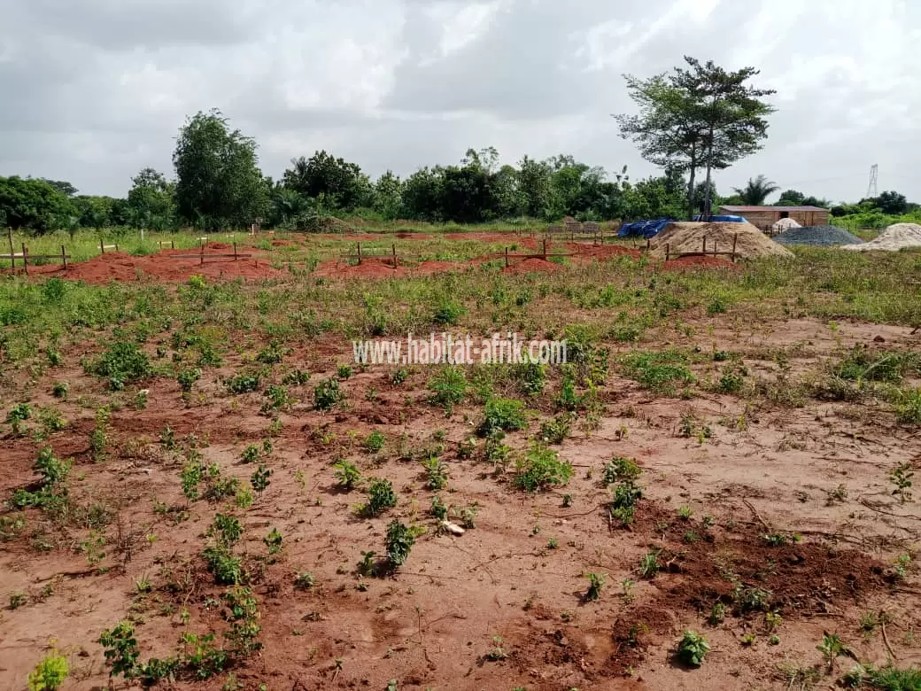 *????A VENDRE????* *Un bon terrain de 4lots collés*   *Lieu*Adetikopé à 30m du goudron*   *Prix :60millions à débatre*      *SÉBASTINO IMMOBILIER*     *info :+228  97  63 97 88