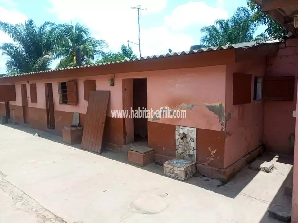 Je mets en vente une maison de location à avenou ave Maria Lome Togo 