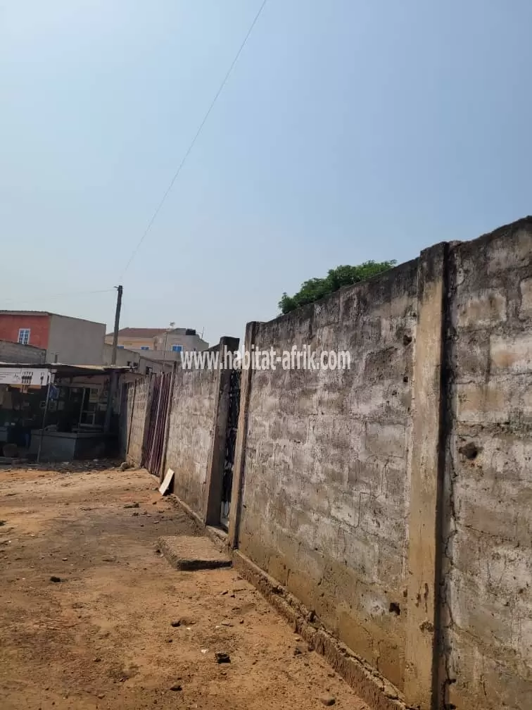 Je mets en vente une parcelle de terrain 1lot 1/4 clôturé à djidjolé OBUT juste 500 mètres du goudron lome togo