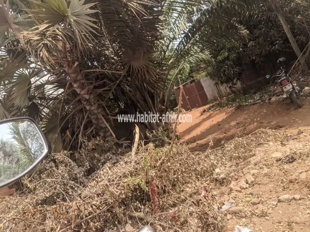 Je mets en vente une parcelle de terrain quatre (04) lot collé à agoe 2 lions 400m du goudron lome togo