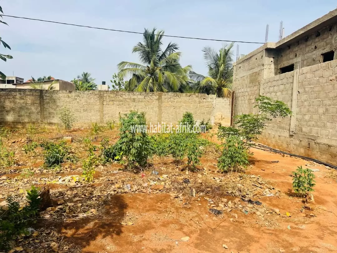 Je mets en vente une parcelle de terrain demi lot carré à 500m du goudron kleme antenne moov rasta lome togo