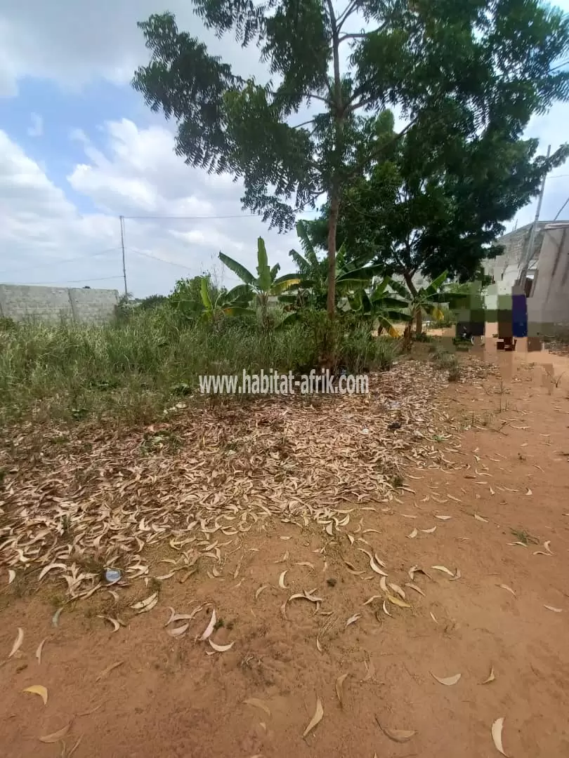 A VENDRE Chocho.  Un (1) Lot de terrain avec  Une pièce + du sables.   Lieu: A Sanguera  Klémé Agokpanou, à 800m du commissariat Wougome.   Prix de vente : 15 Millions à débattre  Papiers: Plan,  otr avis favorable, mandataire..  Visite Programmée : 5mil 