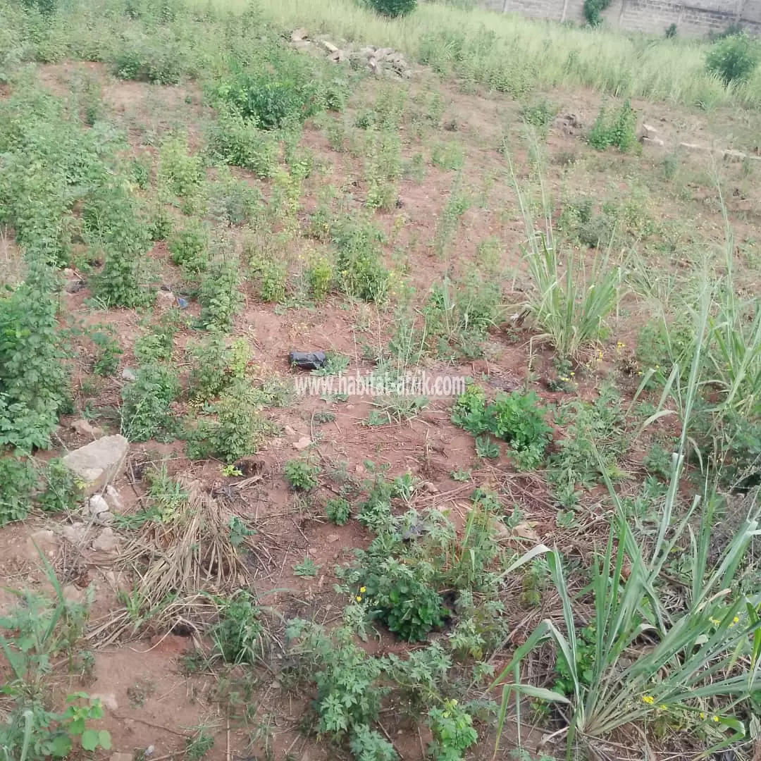 A VENDRE 2 LOTS 3/4 À ADIDOGOMÉ - ATIGANGOMÉ (parcelle bien positionné)
