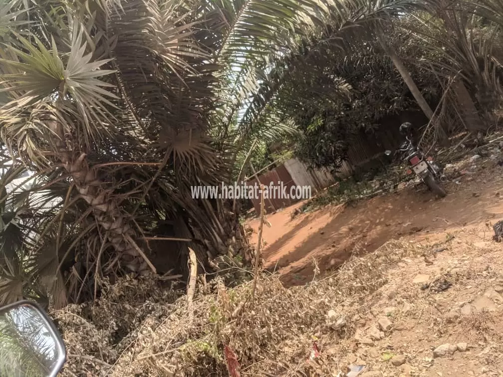 Je mets en vente une parcelle de terrain quatre (04) lot collé à agoe 2 lions 400m du goudron lome togo