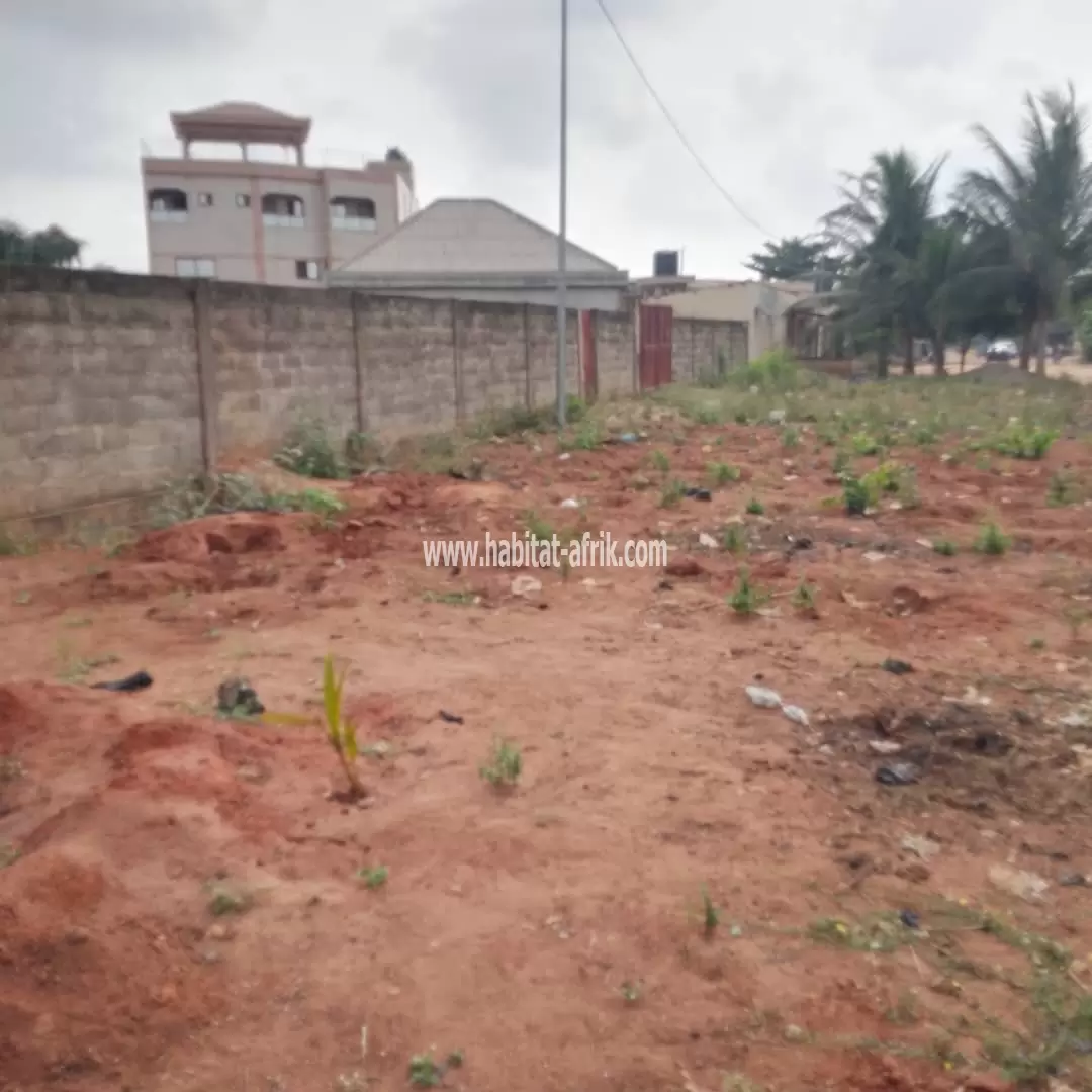 A VENDRE 2 LOTS 3/4 À ADIDOGOMÉ - ATIGANGOMÉ (parcelle bien positionné)