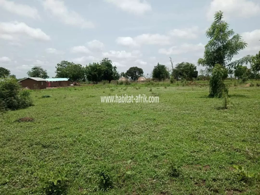 50 hectares de domaines sécurisés sont en vente à Djidja Monsourou, dans le département de Zou, Bénin