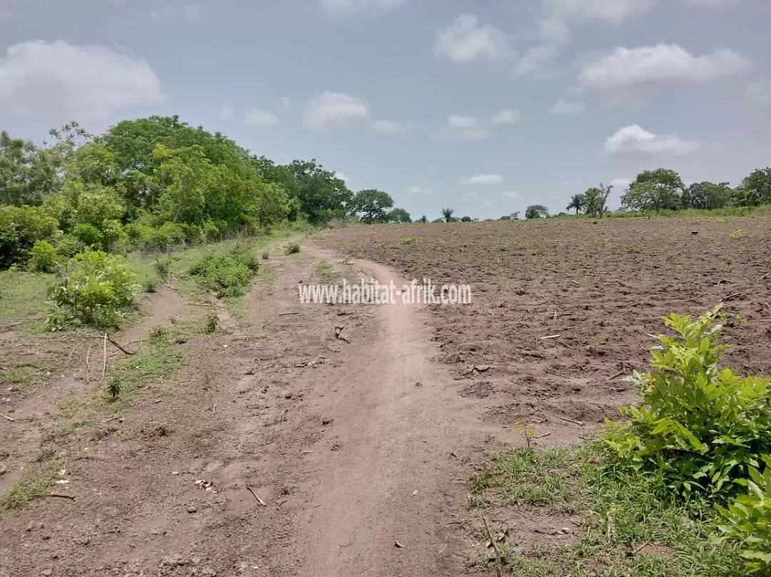 50 hectares de domaines sécurisés sont en vente à Djidja Monsourou, dans le département de Zou, Bénin