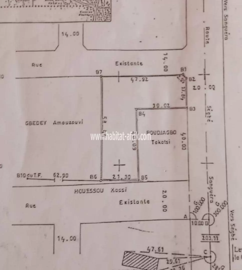 3 lots collés angle rue clôturés en vente à Ségbé au bord de la voie Ségbé-Zanguéra(Lomé-Togo) 