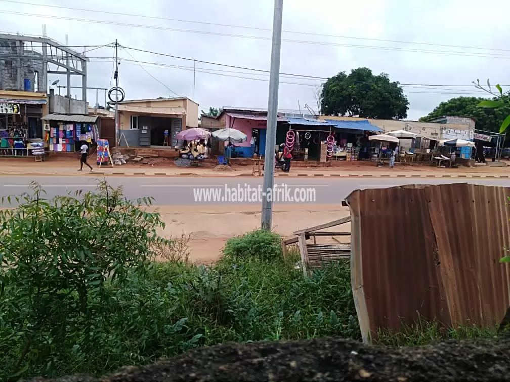 1,5 lots clôturés à vendre au bord du goudron à Ségbé(Lomé-Togo) 