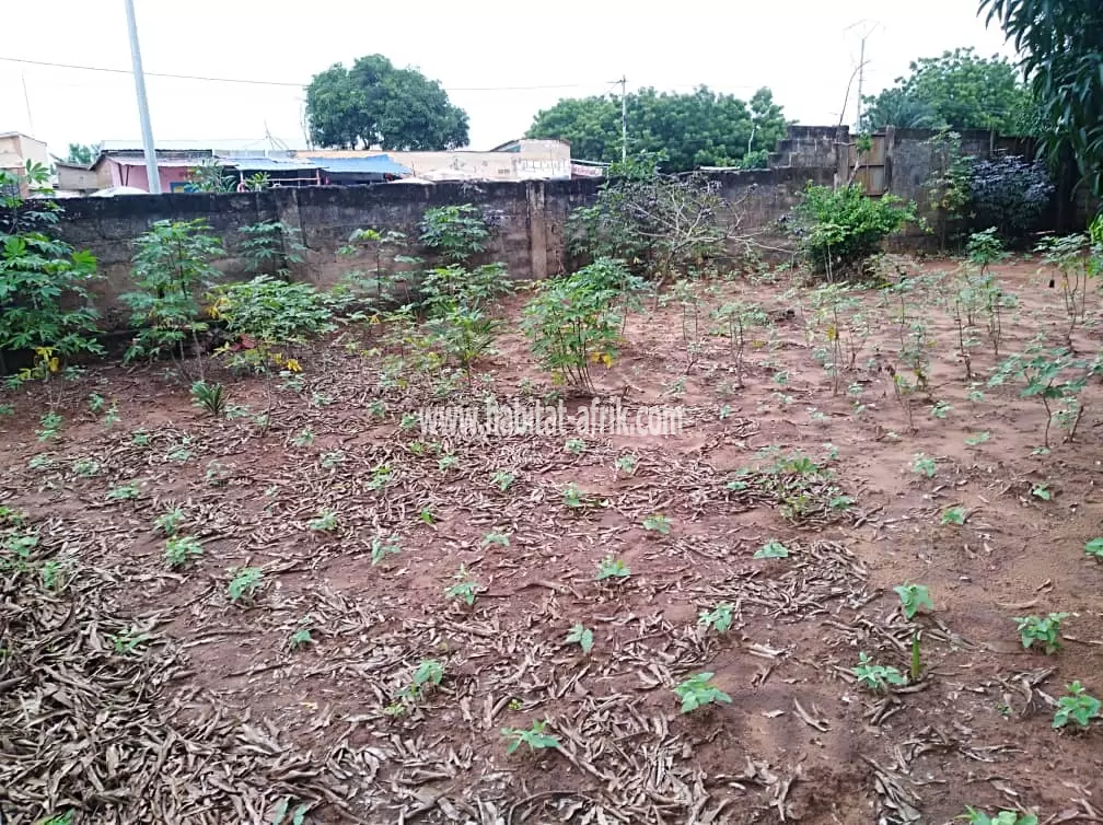 1,5 lots clôturés à vendre au bord du goudron à Ségbé(Lomé-Togo) 