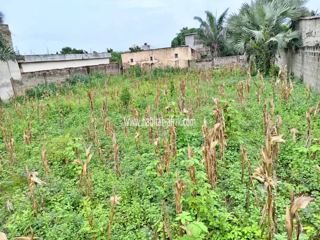 1 lot clôturé en vente au bord de la grande voie d'Adidogomé Yokoè(Lomé-Togo) 