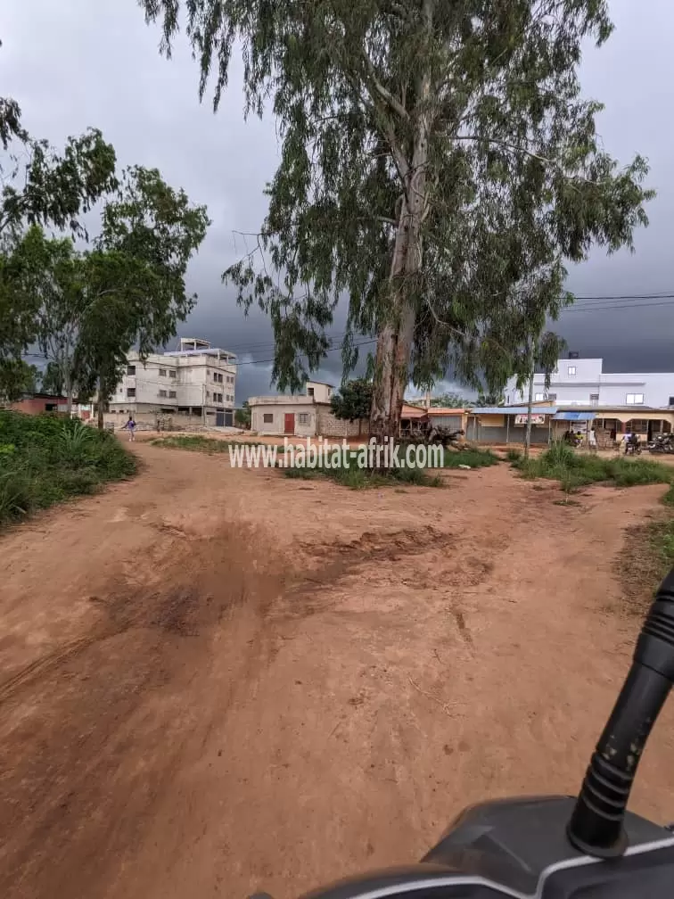 Terrain clôturé de 1 lot avec 2 pièces dallées inachevée à vendre à Zanguéra(Lomé-Togo)