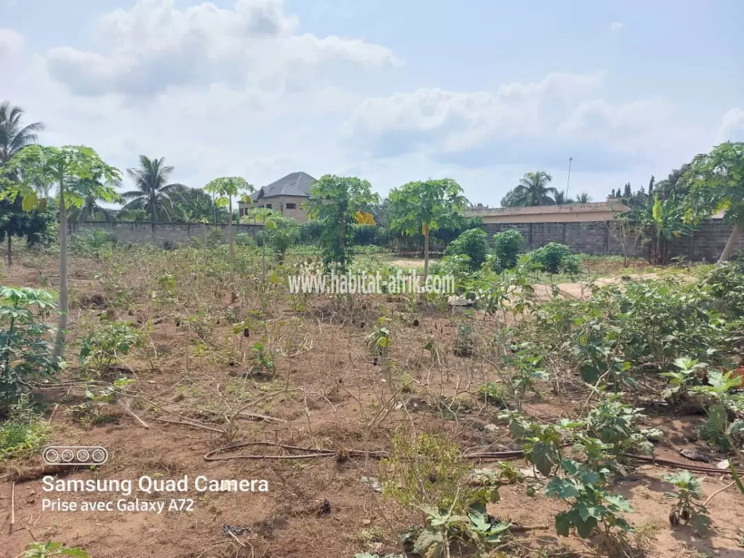 5 lots collés clôturés en vente à Adidogomé Apédokoè(Lomé-Togo)