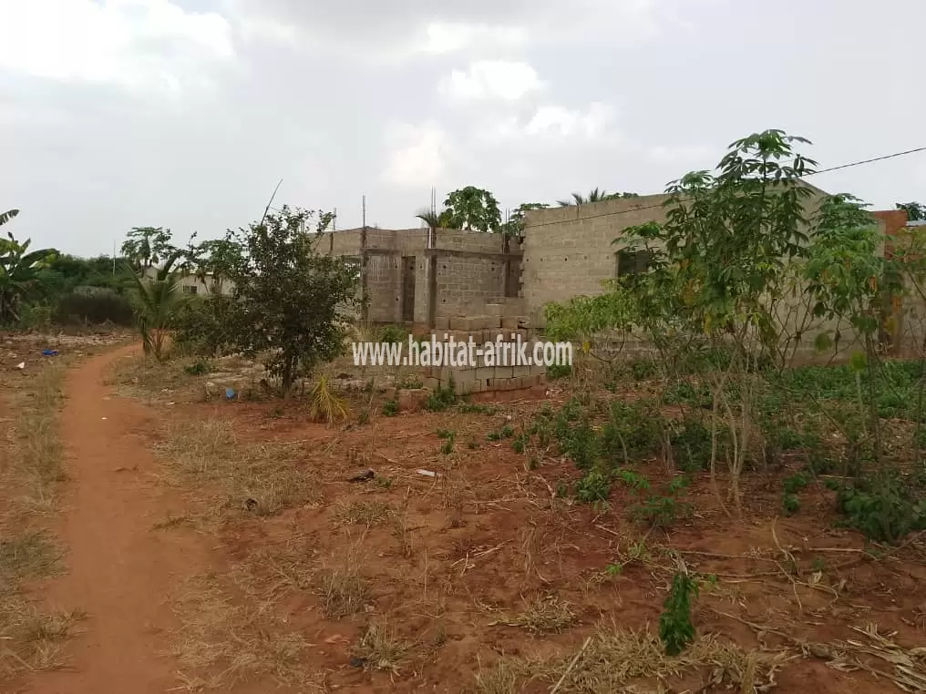 Terrain bien positionné de 1/2 lot en vente à Djagblé (TOGO)