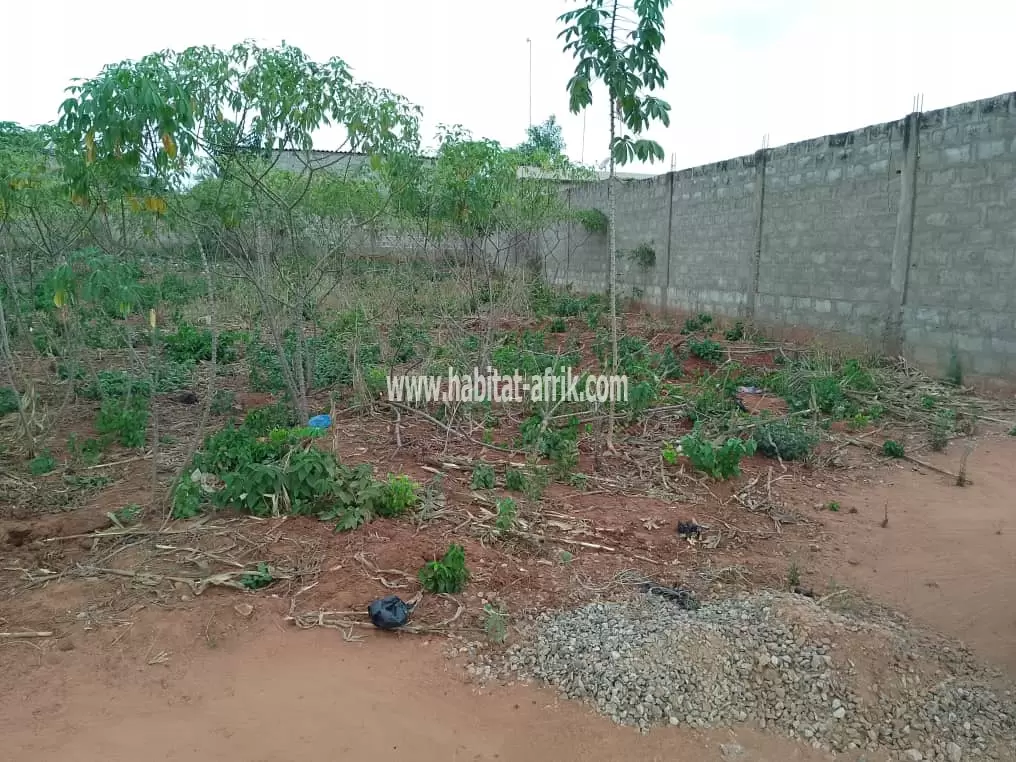 Terrain bien positionné de 1/2 lot en vente à Djagblé (TOGO)