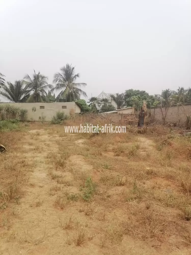 Mise en vente d'un terrain clôturé de plus d'e 1 lot angle rue à Adidogomé(Lomé-Togo)