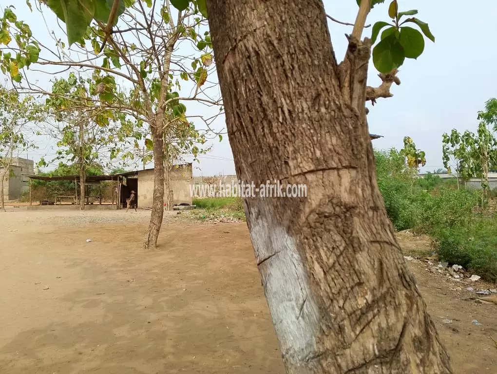 1/4 lot avec 2 pièces inachevées en vente à Togblékopé Alinka(Lomé-Togo)