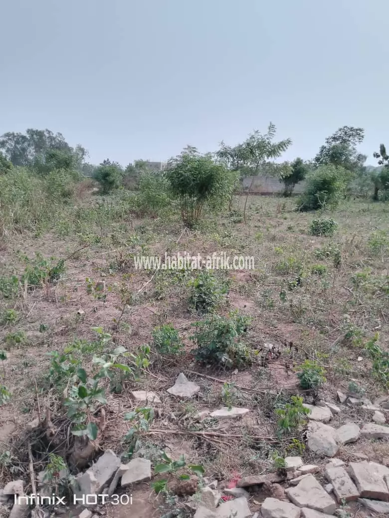 1 lot 1/4 soit 748 m² en vente au bord du goudron à Aképédo(Lomé-Togo)