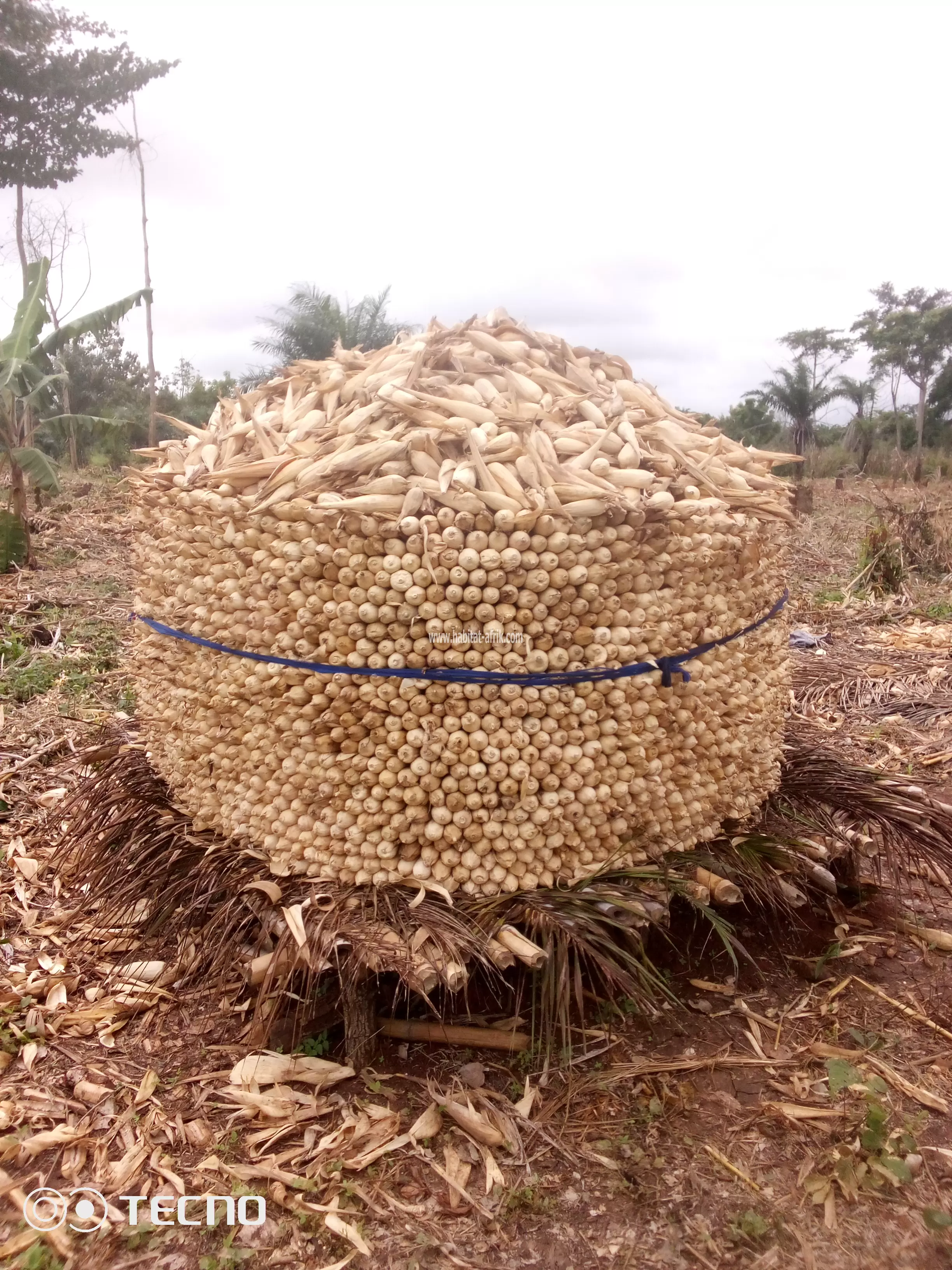 Terrain agricole????????????????????????