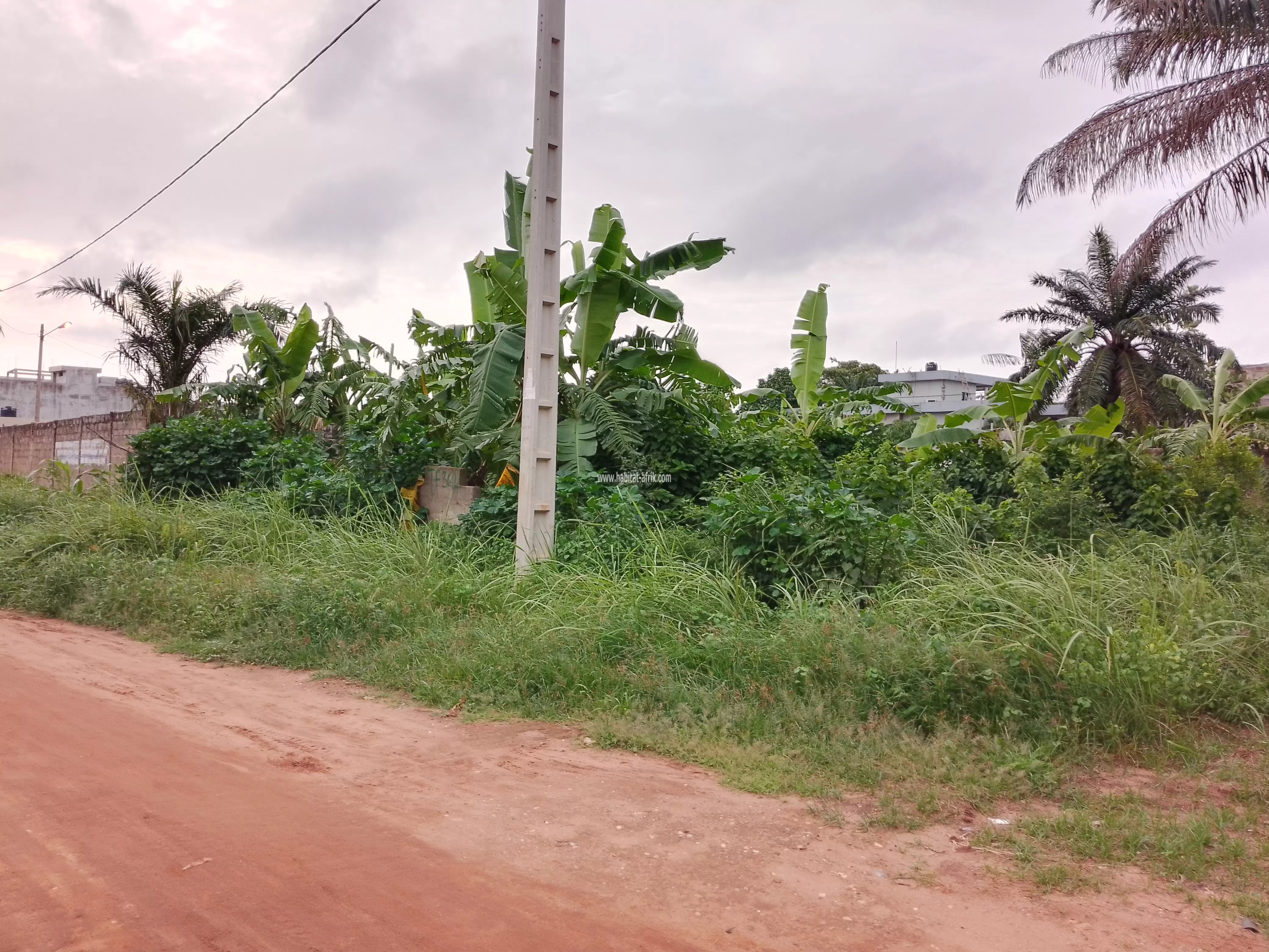 PARCELLE À VENDRE À BIDOSSESSI 