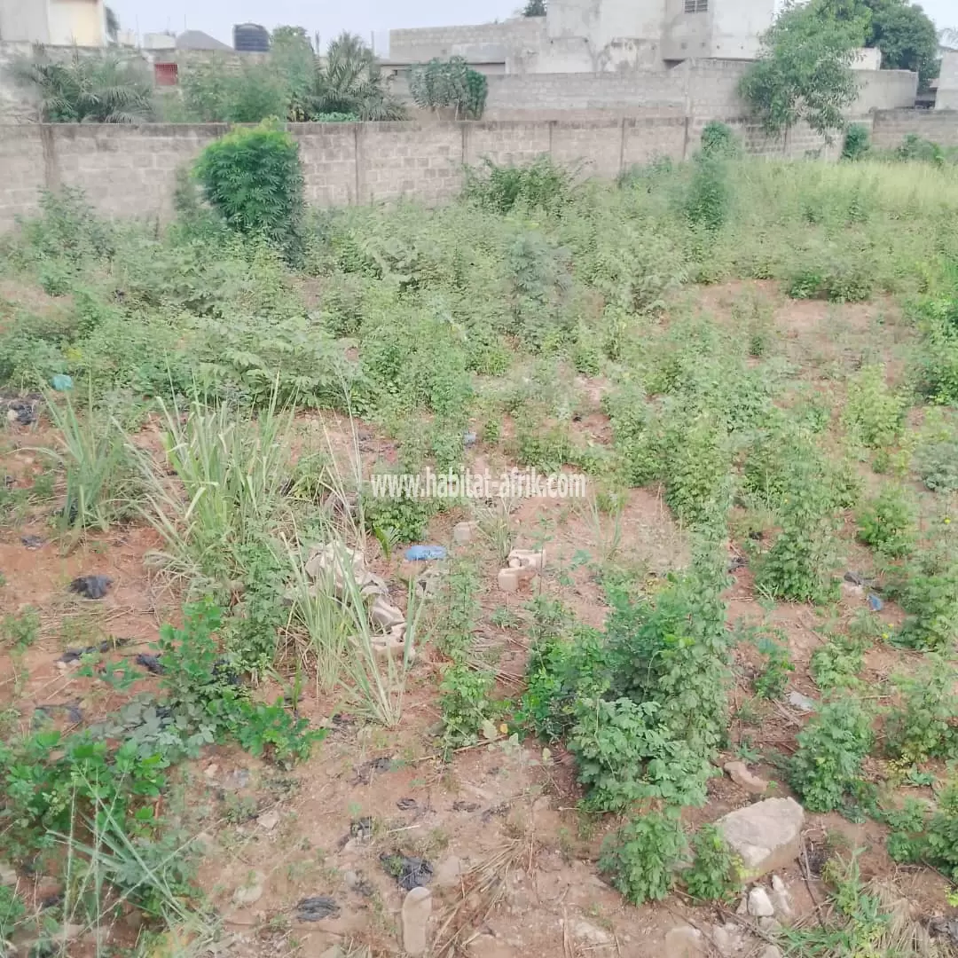 A VENDRE 2 LOTS 3/4 À ADIDOGOMÉ - ATIGANGOMÉ (parcelle bien positionné)
