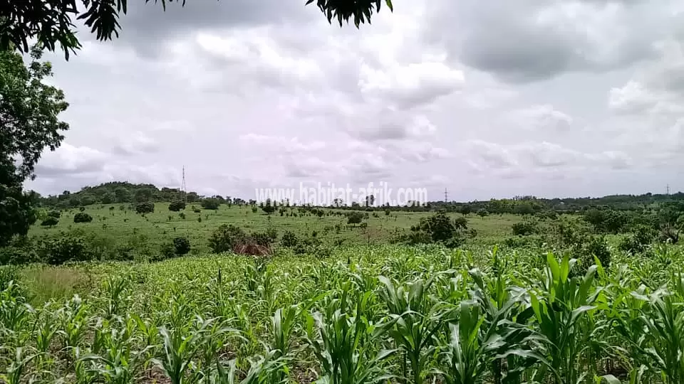 VENTE D'UNE FERME AGRICOLE DE 27 HECTARES DANS LE COUFFO 