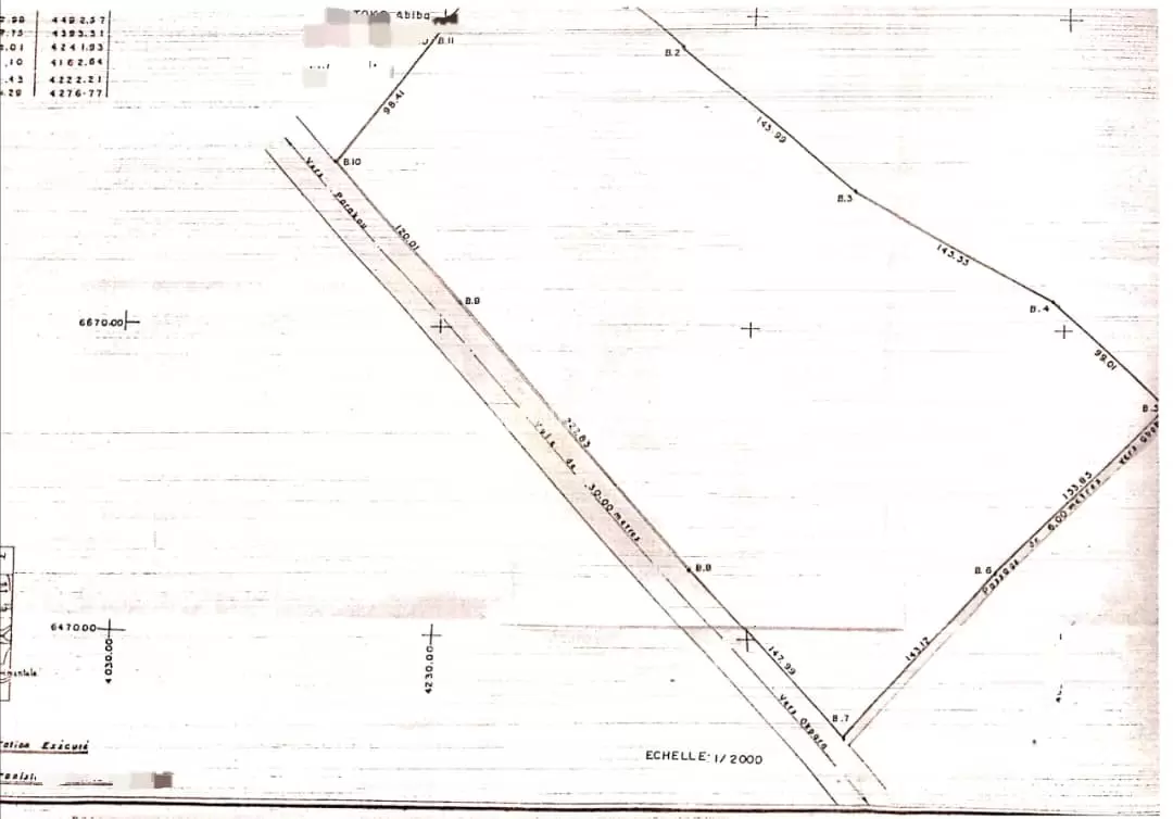 DOMAINE DE 4 HECTARES AU BORD DE LA ROUTE OKPARA A PARAKOU