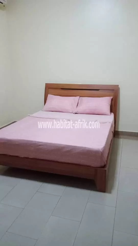 Je mets en location un logement meublé de 3 chambres salon avec jardin situé dans la localité de djidjole au bord du pave lome togo