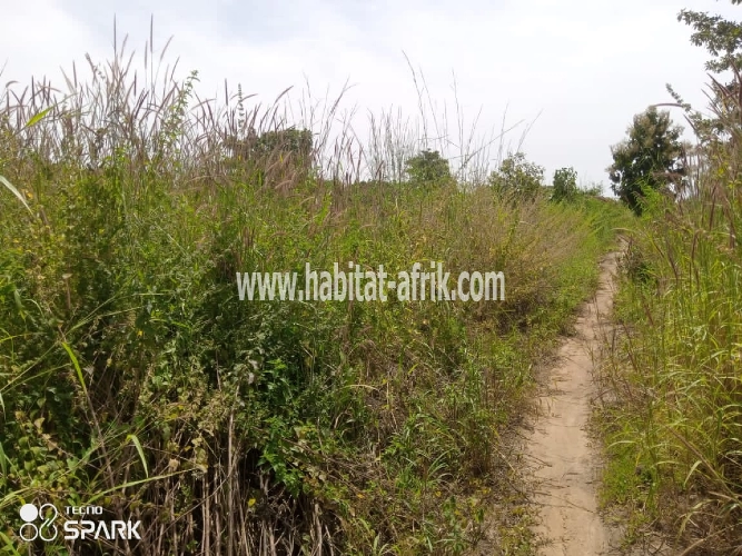 Domaines fertiles d'hectares