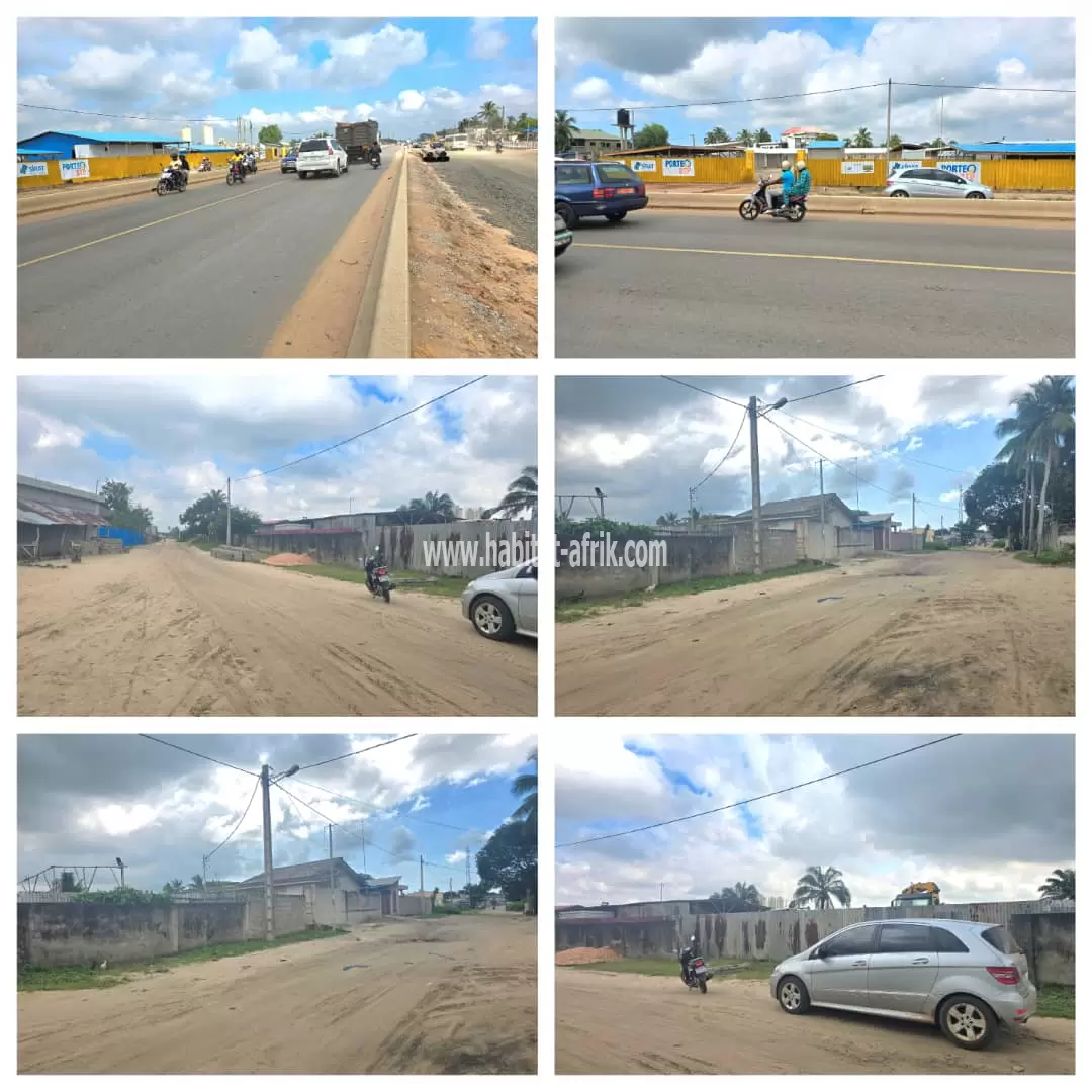 3 HECTARES AVEC TF AU BORD DE LA VOIE DJREGBE- PORTO-NOVO 